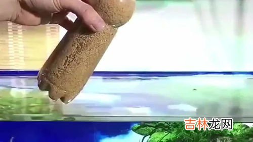 如何清洗沙子,怎么清洗“沙子”?
