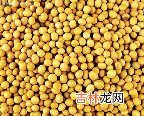 天然大豆异黄酮是什么,大豆异黄酮的功效包括哪些，主要作用有哪些，见效快吗？