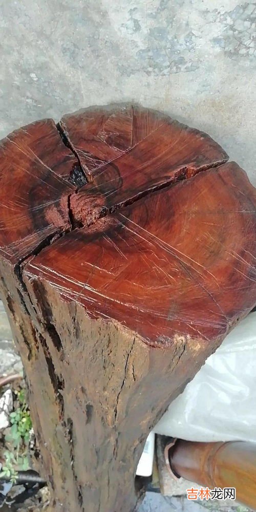 花椒木如何留疙瘩去皮,花椒木怎么把玩