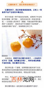 红薯和柿子究竟能不能一起吃,红薯能不能跟柿子一起吃