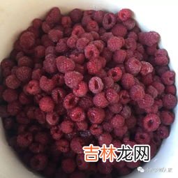 树莓要洗吗,盒装的树莓需要洗吗 树莓介绍