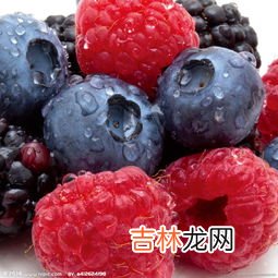 蓝莓片怎么样,蓝莓片是真的还是假的啊