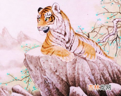 虎年什么属相运势好,虎年最旺的四个属相 财运亨通属相龙？