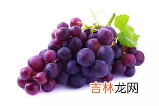 葡萄和牛奶能榨汁吗,葡萄可以和牛奶一起吃吗