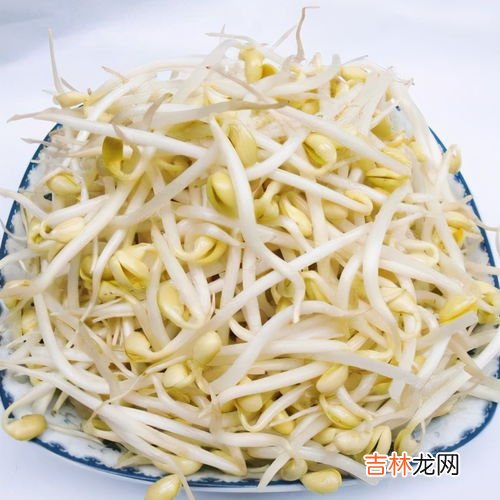 豆芽怎么洗,豆芽怎么洗