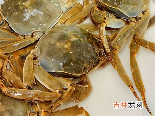 海螃蟹死了能冷冻保存吗,海螃蟹死了可以放冰箱吗 海螃蟹死了怎么储藏