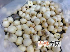 新鲜莲子放冰箱冷冻可以放多久 新鲜莲子冷冻半年还能吃吗,新鲜莲子可以冷冻保存吗