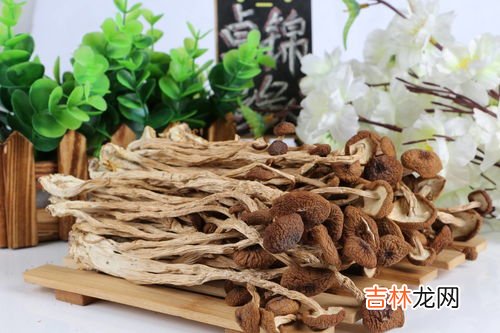 茶树菇的功效与作用,茶树菇的功效与作用有哪些?什么人不适合吃茶树菇?