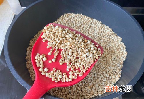 红豆薏米茯苓水怎么煮去湿气,茯苓怎么吃祛湿最好 茯苓如何吃祛湿最好