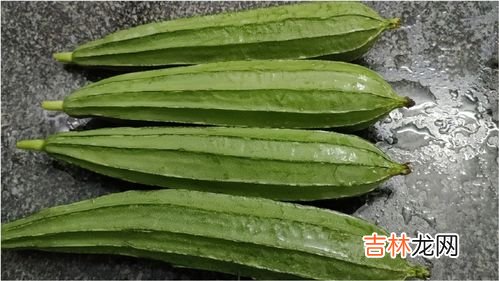 八角丝瓜为什么会苦能吃吗,八角丝瓜有苦能吃吗