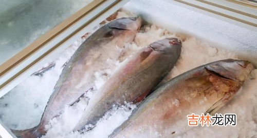 豆腐鱼可以冷冻保存吗,豆腐鱼保存的方法？