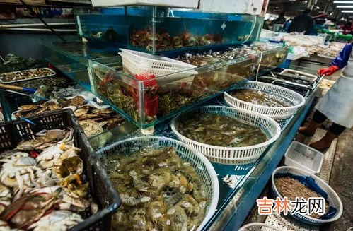 海鲜市场是闲鱼吗,小红书海鲜市场是啥