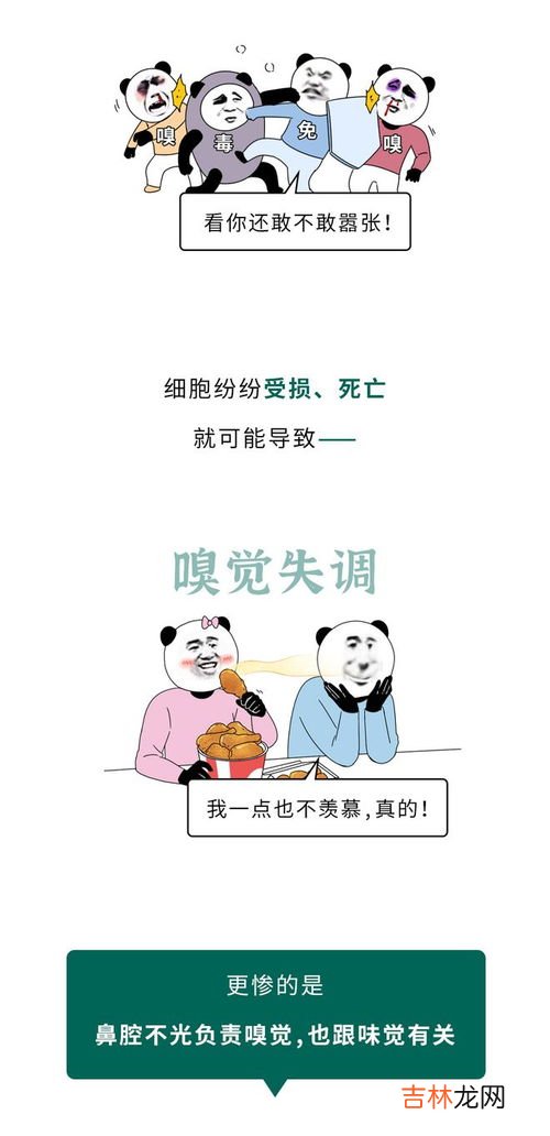 嗅觉味觉恢复方法,怎样才能恢复嗅觉失灵？