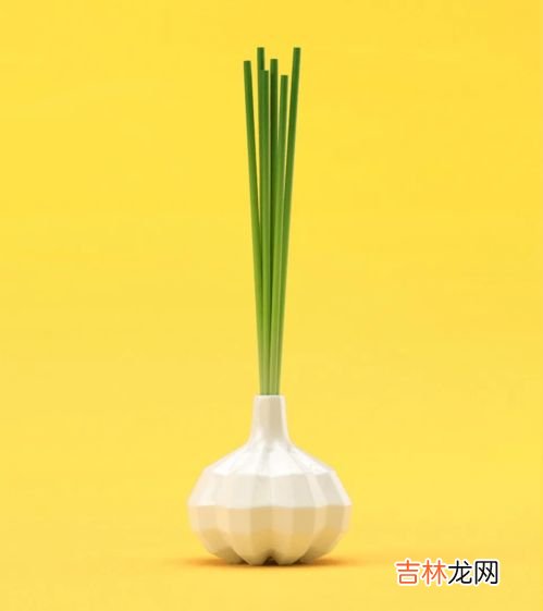 大蒜精油能治妇科病吗,大蒜油软胶囊对妇科病的好处