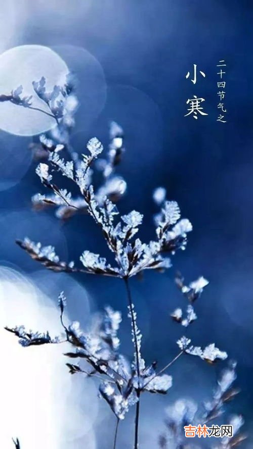 为什么小寒应该吃温性的食物,小寒吃什么？