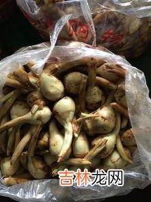 芥菜的土话叫什么,芥菜的俗名叫什么?