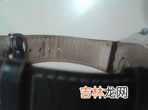 手表皮表带好还是钢表带好,手表表带买什么材质的好