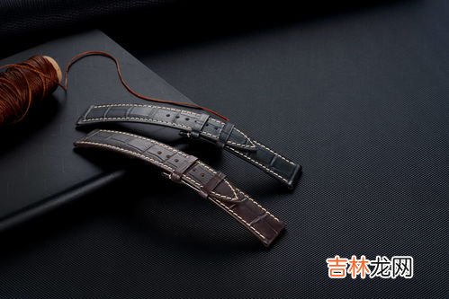 手表皮表带好还是钢表带好,手表表带买什么材质的好