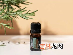 冷杉精油可以香薰吗,呼吸系统常用精油整理