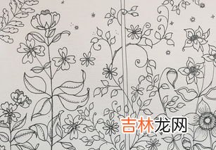 花园怎么画,花园城市怎么画