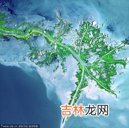密西西比河流向,密西西比河流向和注入哪里?