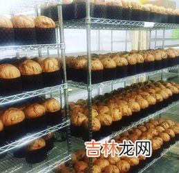 潘妮托尼面包的来历,面包的分类及各类面包的特点