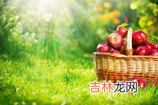 这是卖苹果的篮子两种不同的理解,这是卖苹果的篮子的理解