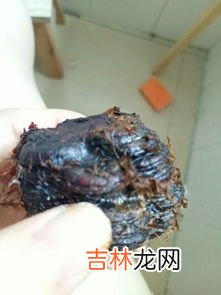 隔夜的火龙果还能吃吗,火龙果第二天能吃吗