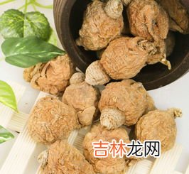 玛咖粉是什么东西,玛卡的功效与作用禁忌，玛卡的功效与作用及禁忌是什么