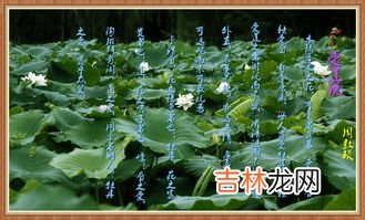 只可远观而不可亵玩焉的意思,只可远观而不可亵玩焉什么意思