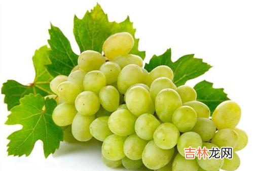 维C和维生素E还有B族片一起好吗,维生素c和维生素b维生素e可以一起吃吗