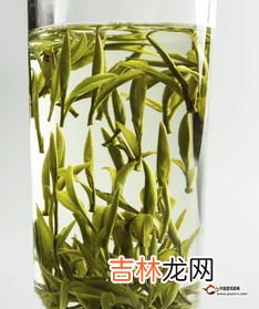 黄山毛峰口感特点,黄山毛峰的品质特点有哪些？信阳毛尖的品质特点是什么？