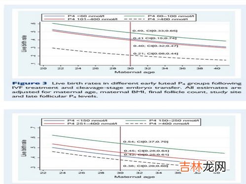 黄体期是什么,黄体期是什么