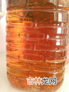 花生油凝固还能吃吗,食用油结冻是好还是坏 食用油冻了还能吃吗