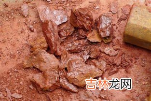 龙血砂属于什么泥料,龙血砂和石红一样吗