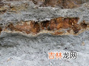 龙血砂属于什么泥料,龙血砂和石红一样吗