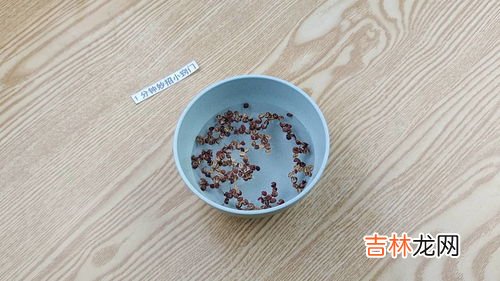 花椒酒的功效与作用及食用方法,花椒泡酒有什么养生功效,适宜长期饮用吗?