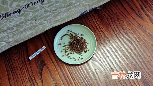 花椒酒的功效与作用及食用方法,花椒泡酒有什么养生功效,适宜长期饮用吗?