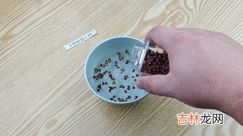 花椒酒的功效与作用及食用方法,花椒泡酒有什么养生功效,适宜长期饮用吗?
