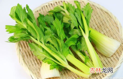 芹菜和苦瓜可以一起吃吗,芹菜和苦瓜可以一起吃吗