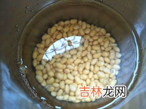 黄豆煮熟了打豆浆有毒吗,黄豆煮熟放冰箱隔夜打豆浆