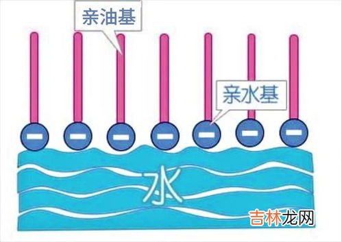 水和油为什么不相溶,把油倒进水里，为什么这两种物质不能融合在一起？