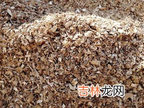 花生壳是什么,花生壳是什么软件？