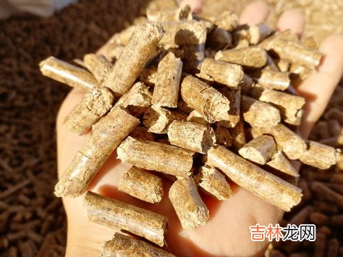 花生壳是什么,花生壳是什么软件？