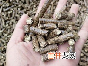 花生壳是什么,花生壳是什么软件？