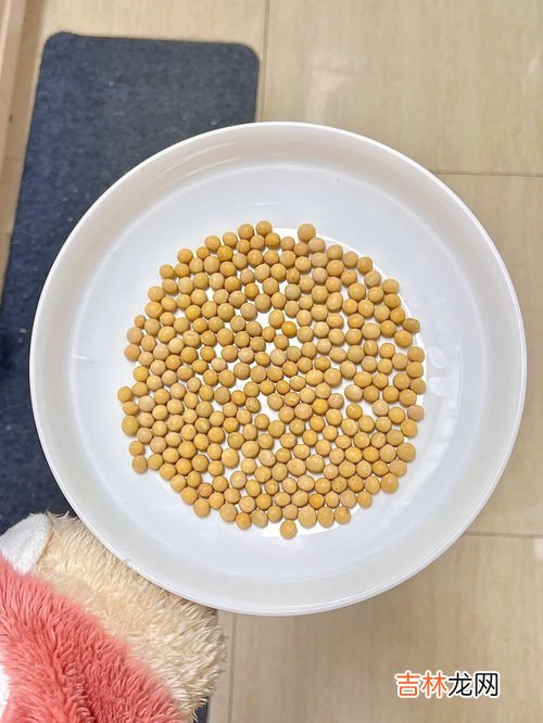 黄豆豆浆怎么做,黄豆如何做豆浆