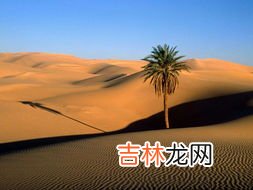 撒哈拉沙漠在哪个国家,撒哈拉沙漠是哪个国家的领土