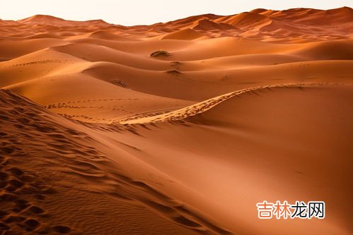 撒哈拉沙漠在哪个国家,撒哈拉沙漠是哪个国家的领土