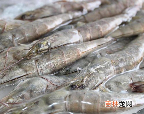 活虾怎么保存到晚上不死,买回家的活虾如何保存到晚上