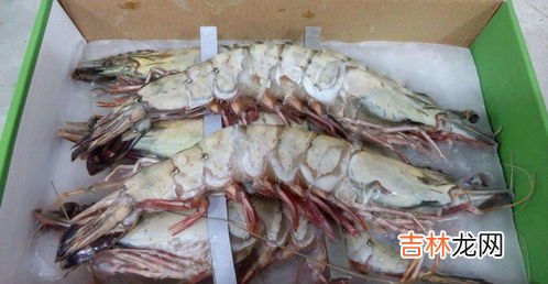 活虾怎么保存到晚上不死,买回家的活虾如何保存到晚上